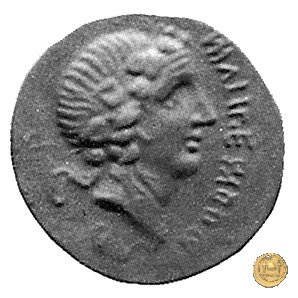 6b - Toro e lupa a sinistra 90 BC (Campania) 6b - Toro e lupa a sinistra 90 BC (Campania)